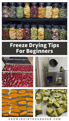 several different types of fruits and vegetables are shown with the title freeze drying tips for beginners