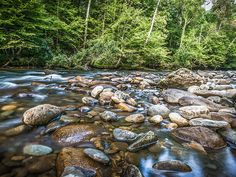 a river flowing through a lush green forest filled with lots of rocks and trees in the background