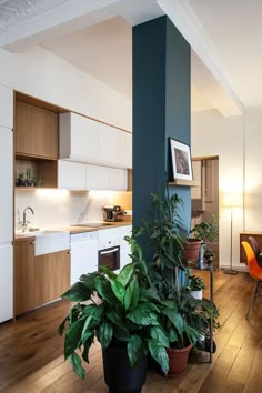 a living room filled with lots of furniture and plants in pots on top of a hard wood floor