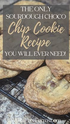 sourdough chocolate chip cookies Otis Spunkmeyer Cookies, Chocolate Chip Cookies Recipe, Browned Butter, Chewy Chocolate Chip Cookies, Cinnamon Rolls Homemade, Homemade Snacks, Healthy Crockpot Recipes, Sourdough Starter