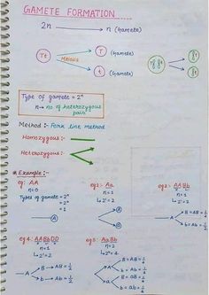 Gemete formation hand written notes with diagram Biology Class 12, Notes Biology, Kuldeep Yadav