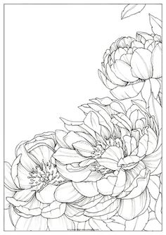 a black and white drawing of flowers