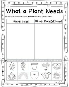 what a plant needs printable worksheet with pictures and words to help students learn