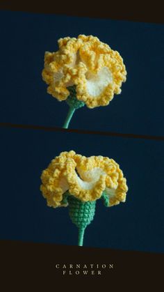 two crocheted flowers are shown against a dark blue background, one is yellow and the other is white