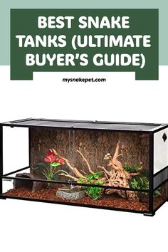 the best snake tanks ultimate buyer's guide for reptiles and terrariums