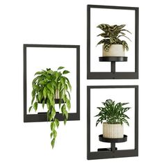 two black metal wall mounted planters with plants in them and one hanging on the wall