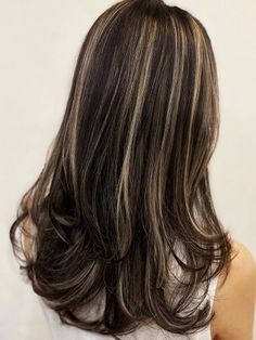 Brown Hair With Blonde Highlights, Hairstyles For Layered Hair