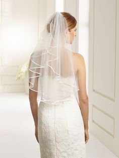 the back of a bride's wedding dress with a veil