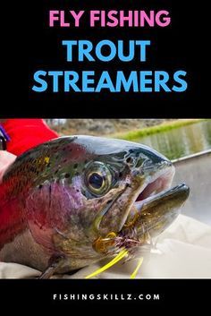 a person holding a fish with the words fly fishing trout streams