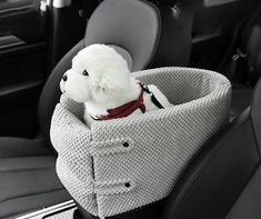 a white dog sitting in a car seat with a sweater on it's back