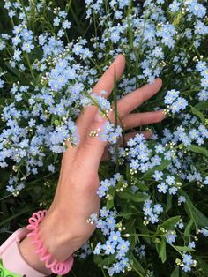 a person's hand reaching for blue flowers with pink rubber bands on their wrist