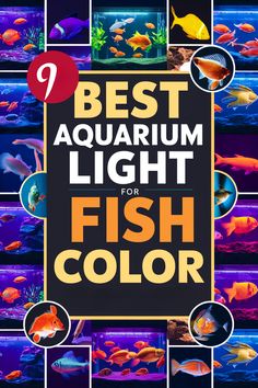 the cover of the book best aquarium light for fish color