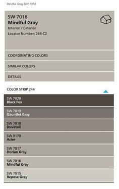 the color scheme for this gray paint palette