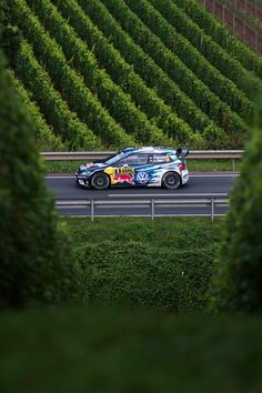 a rally car driving down a road in front of a row of green bushes