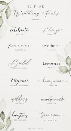 watercolor wedding font and calligraphy on white paper with green leaves in the corner