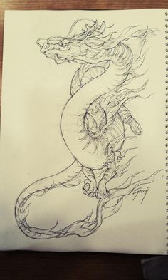 a pencil drawing of a dragon on paper