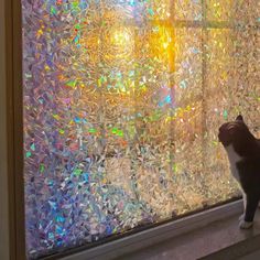 a black and white cat sitting on top of a window sill next to a glass pane