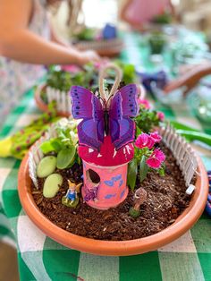 there is a potted plant with a butterfly on it