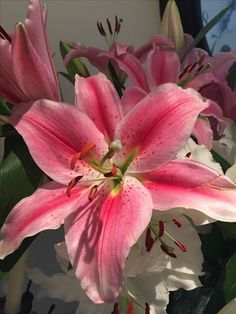 pink and white flowers are in a vase