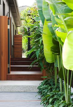 an entrance to a house with lots of green plants