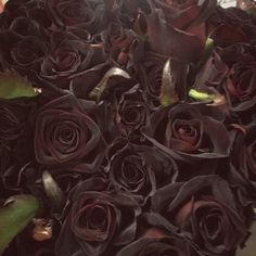 a bouquet of dark colored roses is shown in close up view with the stems still attached