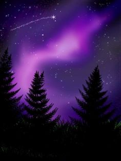 the night sky is filled with stars and purple lights, as well as some trees