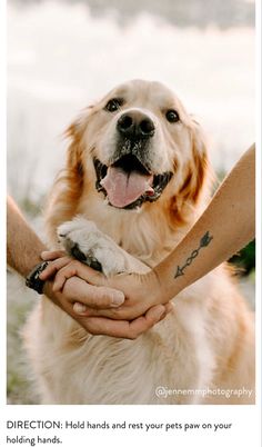 a dog is being petted by someone's hand with the caption, pawsome love