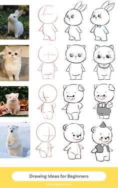 how to draw animals for beginners step by step instructions with pictures on the page