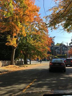 cars are driving down the street in front of trees with orange and yellow leaves on them