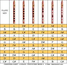 the different types of flutes are shown in this chart