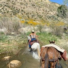 two people riding horses through a small stream