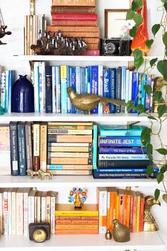 a bookshelf filled with lots of books next to a vase and potted plant