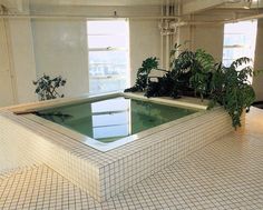 an indoor swimming pool in the middle of a room with plants growing out of it