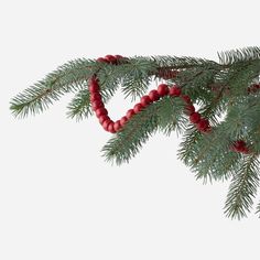 a pine branch with red beads hanging from it