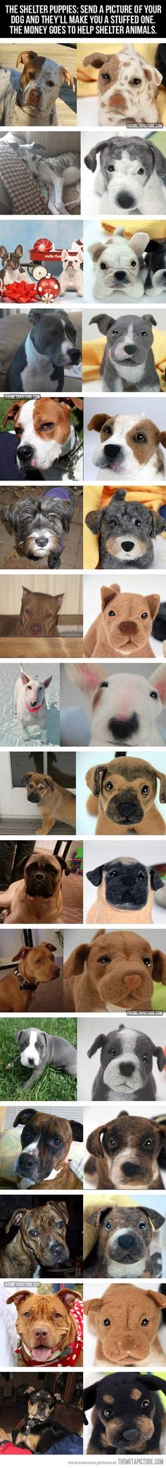 many different images of dogs and their reflection in the water, including one dog's head