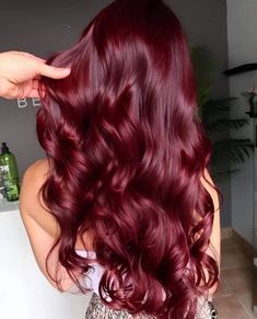 Red Hair Looks, Winter Hair Colors, Cherry Red Hair, Wine Red Hair, Cherry Hair