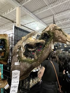 people are looking at an animal head made out of wood and moss in a store