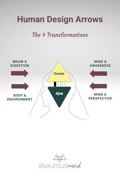 Undefined Throat Center Human Design, Arrows In Human Design, Human Design Digestion