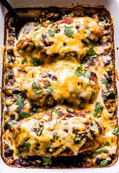 an enchilada casserole in a white dish with black beans, cheese and cilantro