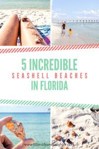 the cover of 5 incredible seashell beaches in florida, with pictures of people on the beach