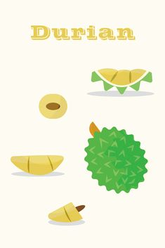 Durian,tropical fruits,榴槤,Durian vector Tropical Fruits, Simple Shapes, Work On Yourself, Png Images, Adobe Illustrator, Vector Free, Vector Images, Illustrator, Web Design