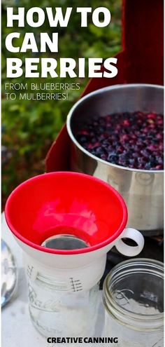 blueberries are being cooked in large metal pans with the title how to can berries from blueberries to mulbberries