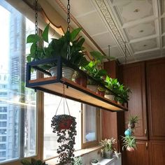 some plants are hanging from a window sill