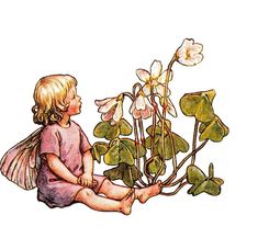 "This enchanting vintage 2-sided print with text is from Cicely Mary Barker's 1997 book \"The Complete Book of the Flower Fairies\" published by Frederick Warne, London. It measures 7¾\" x 10\" (19.5cm x 25.5cm) and has The Wood-Sorrel Fairy and The Heart's-Ease Fairy on one side, and The Stitchwort Fairy on the reverse. It will add charm to baby's nursery or child's room and also makes a unique gift for loved ones, baby showers, and new baby occasions.  Cicely Mary Barker (1895-1973) was an English illustrator best known for a series of fantasy illustrations depicting fairies and flowers. Since their first publication in 1923, Flower Fairies have enchanted both adults and children alike around the world. Her charming poetry and delicate illustrations have sparked the imaginations of child Fairy Prints, The Flower Fairies, Wood Sorrel, Fairies Dancing, Fairy Images, Spring Fairy, Cicely Mary Barker, Fairy Gifts, Fairy Tattoo