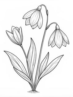 three flowers are shown in this black and white drawing, with one flower on the left side