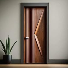 a wooden door sitting next to a potted plant