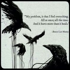 two black birds flying next to each other with a quote on the back ground that says, my problem is that i feel everything