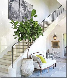 a living room with stairs and a potted plant