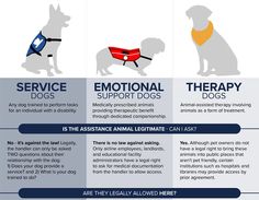 an info sheet describing the benefits of dog collars