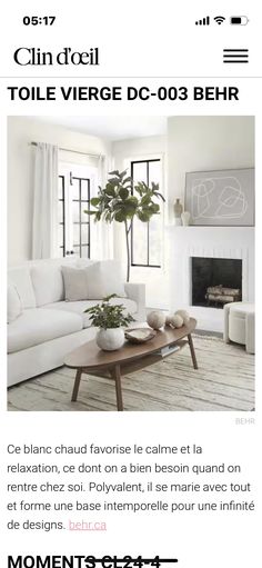 a living room filled with furniture and a fire place in the middle of the room